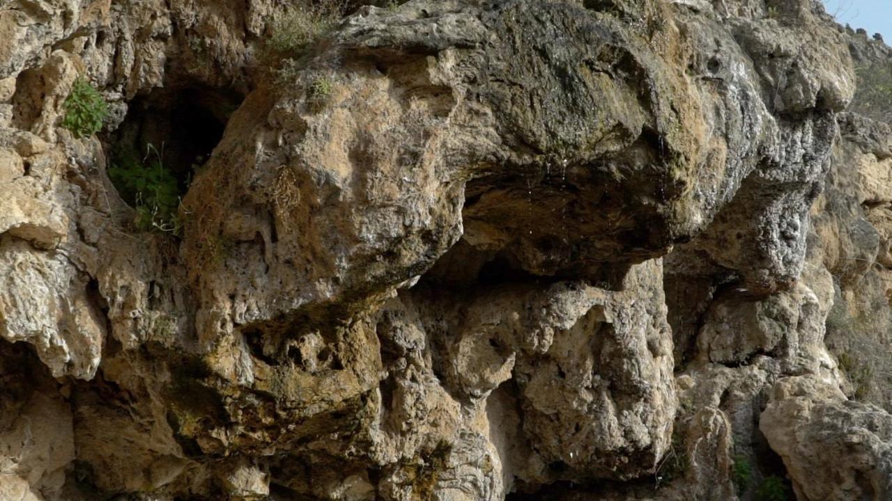 Balneario De Alicun De Las Torres Villanueva de las Torres Dış mekan fotoğraf
